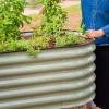 imageVego garden 2 x 4 Raised Garden Bed with Legs and Wicking Cell System  S Series Perfect for Gardening Vegetables Herbs ampamp Flowers  Outdoor ampamp Indoor Elevated Planter Box Modern GrayBritish Green