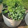 imageVego garden 32quot Extra Tall Raised Garden Bed Kits10 in 1 Modular Raised Planter Box for Vegetables Flowers Fruits Oval Metal Raised GardenModern GrayPearl White