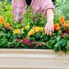 imageVego garden 32quot Tall 9 in 1 Novel Metal Raised Garden Bed Kits Modular Planter Beds for Vegetables Flowers Pearl WhitePearl White