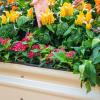 imageVego garden 32quot Tall 9 in 1 Novel Metal Raised Garden Bed Kits Modular Planter Beds for Vegetables Flowers Pearl WhitePearl White