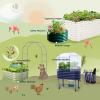 imageVego garden 17quot Tall Herb Garden 24quot Wide  Twin PackModern Gray