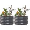 imageVego garden 17quot Tall Herb Garden 24quot Wide  Twin PackModern Gray