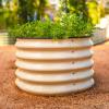 imageVego garden 17quot Tall Herb Garden 24quot Wide  Twin PackModern Gray
