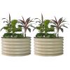 imageVego garden 17quot Tall Herb Garden 24quot Wide  Twin PackPearl White