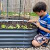 imageVego garden 17quot Tall Kids First Garden Bed 42quot x 24quot Raised Planter Box Outdoor Metal Galvanized Gardening Bed for Vegetables Herb ampamp Flower Modern GrayMorden Gray