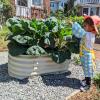 imageVego garden 17quot Tall Kids First Garden Bed 42quot x 24quot Raised Planter Box Outdoor Metal Galvanized Gardening Bed for Vegetables Herb ampamp Flower Modern GrayPearl White