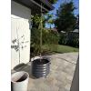 imageVego garden SelfWatering Rolling Citrus Planter Raised Garden Bed Kits Twin PackModern GrayModern Gray