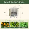 imageVego garden SelfWatering Rolling Citrus Planter Raised Garden Bed Kits Twin PackModern GrayPearl White