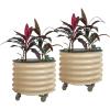 imageVego garden SelfWatering Rolling Citrus Planter Raised Garden Bed Kits Twin PackModern GrayPearl White