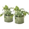 imageVego garden 17quot Tall Herb Garden 24quot Wide  Twin PackOlive Green