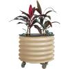 imageVego garden SelfWatering Rolling Citrus Planter Raised Garden Bed Kits Twin PackModern GrayPearl White