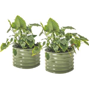 imageVego garden 17quot Tall Herb Garden 24quot Wide  Twin PackOlive Green