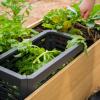 imageMetal InGround Worm Composter inBed Composting Bins for Raised Garden Beds Outdoor Compost System