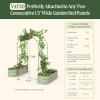 imageVego Garden Modular Arched Trellis System Single Section 15 Long Trellis for Garden Bed 20 x 35Kids Bed and 35 x 354 in 1VAT30  Single Section 30 Long Trellis