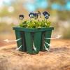 imageVego garden Seedling Suite Products 8 Pack Standard Seedling Trays with 10quot x 20quot Bottom Watering Trays10 x 10 Bottom Tray