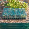 imageVego garden Seedling Suite Products 8 Pack Standard Seedling Trays with 10quot x 20quot Bottom Watering Trays10 x 20 Bottom Tray