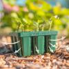 imageVego garden Seedling Suite Products 8 Pack Standard Seedling Trays with 10quot x 20quot Bottom Watering Trays10 x 20 Bottom Tray