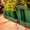 imageVego garden Seedling Suite Products 8 Pack Standard Seedling Trays with 10quot x 20quot Bottom Watering Trays10 x 20 Bottom Tray