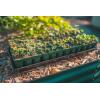 imageVego garden Standard Seedling Trays Without Lids 8 Pack Seed Trays for Seedlings Reusable Propagator Tray Growing Starter Tray Germination Trays Kit for GreenhouseGarden 8Cell per Tray32 Pack