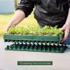 imageVego garden Standard Seedling Trays Without Lids 8 Pack Seed Trays for Seedlings Reusable Propagator Tray Growing Starter Tray Germination Trays Kit for GreenhouseGarden 8Cell per Tray1 Pack