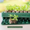 imageVego garden Standard Seedling Trays Without Lids 8 Pack Seed Trays for Seedlings Reusable Propagator Tray Growing Starter Tray Germination Trays Kit for GreenhouseGarden 8Cell per Tray1 Pack
