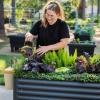 imageElevated Raised Garden BedV Series 2 x 6 Garden Beds with Legs ampamp Storage Rack for Patio Porch 1000 Lbs Weight Capacity Outdoor Planter Boxes for Gardening Herbs Vegetables Flowers Pearl WhiteModern Gray