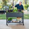 imageElevated Raised Garden BedV Series 2 x 6 Garden Beds with Legs ampamp Storage Rack for Patio Porch 1000 Lbs Weight Capacity Outdoor Planter Boxes for Gardening Herbs Vegetables Flowers Pearl WhiteModern Gray