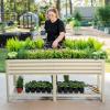 imageElevated Raised Garden BedV Series 2 x 6 Garden Beds with Legs ampamp Storage Rack for Patio Porch 1000 Lbs Weight Capacity Outdoor Planter Boxes for Gardening Herbs Vegetables Flowers Pearl WhitePearl White