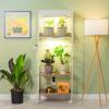 imageVego Garden Grow Lights Stand for Indoor Plants Full Spectrum LED Grow Light with Customized 5 Modes for Seed Starting Leafy Herbs Fruits ampamp Microgreens 1 Pack4 Tier
