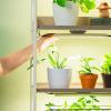 imageVego Garden Grow Lights Stand for Indoor Plants Full Spectrum LED Grow Light with Customized 5 Modes for Seed Starting Leafy Herbs Fruits ampamp Microgreens 1 Pack4 Tier