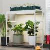 imageVego Garden Grow Lights Stand for Indoor Plants Full Spectrum LED Grow Light with Customized 5 Modes for Seed Starting Leafy Herbs Fruits ampamp Microgreens 1 Pack1 Tier Tabletop