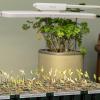 imageVego Garden Grow Lights Stand for Indoor Plants Full Spectrum LED Grow Light with Customized 5 Modes for Seed Starting Leafy Herbs Fruits ampamp Microgreens 1 Pack1 Tier Stand