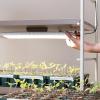 imageVego Garden Grow Lights Stand for Indoor Plants Full Spectrum LED Grow Light with Customized 5 Modes for Seed Starting Leafy Herbs Fruits ampamp Microgreens 1 Pack2 Tier Tabletop