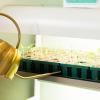 imageVego Garden Grow Lights Stand for Indoor Plants Full Spectrum LED Grow Light with Customized 5 Modes for Seed Starting Leafy Herbs Fruits ampamp Microgreens 1 Pack4 Tier