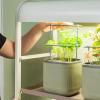 imageVego Garden Grow Lights Stand for Indoor Plants Full Spectrum LED Grow Light with Customized 5 Modes for Seed Starting Leafy Herbs Fruits ampamp Microgreens 1 Pack2 Tier