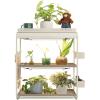 imageVego Garden Grow Lights Stand for Indoor Plants Full Spectrum LED Grow Light with Customized 5 Modes for Seed Starting Leafy Herbs Fruits ampamp Microgreens 1 Pack2 Tier Tabletop