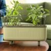 imageVego Garden Herb Indoor Plant Box Self Watering Planters Pots for Indoor Plants with Trellis for Kitchen Window Sill or Countertop Plants Cage  Fog GraySage Green