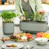 imageVego Garden Herb Indoor Plant Box Self Watering Planters Pots for Indoor Plants with Trellis for Kitchen Window Sill or Countertop Plants Cage  Fog GrayFog Gray