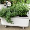 imageVego Garden Herb Indoor Plant Box Self Watering Planters Pots for Indoor Plants with Trellis for Kitchen Window Sill or Countertop Plants Cage  Fog GrayCream White