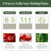 imageVego Garden Metal Frame Tomato Trellis Garden Trellis for Climbing Plants Like Cucumber Beans Tomatoes ampamp Vines 50ft Long Metal Trellis for Raised Garden Beds95ft
