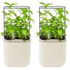 imageVego garden Mini Planter Indoor Pots with Trellis SelfWatering Herb Countertop Planter for Climbing Vegetables Flowers Mint Plants Cage Cream WhiteCream White