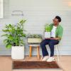 imageVego garden Mini Planter Indoor Pots with Trellis SelfWatering Herb Countertop Planter for Climbing Vegetables Flowers Mint Plants Cage Cream WhiteFog Gray