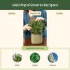 imageVego garden Mini Planter Indoor Pots with Trellis SelfWatering Herb Countertop Planter for Climbing Vegetables Flowers Mint Plants Cage Cream WhiteFog Gray