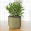 imageVego garden Mini Planter Indoor Pots with Trellis SelfWatering Herb Countertop Planter for Climbing Vegetables Flowers Mint Plants Cage Cream WhiteSage Green