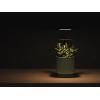imageVego garden Mini Planter Indoor Pots with Trellis SelfWatering Herb Countertop Planter for Climbing Vegetables Flowers Mint Plants Cage Cream WhiteSage Green