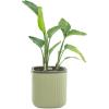 imageVego garden Planters for Outdoor ampamp Indoor Plants Large Plant Pots with Self Watering 15quot Tall Large Plant Pots with Trellis for Flowers Plants Decor Cream WhiteSage Green