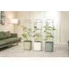 imageVego garden Tomato Planter Box with Trellis SelfWatering Rolling Raised Garden Bed for Climbing Vegetables Plants Cage 3 Pack