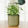 imageVego garden Tomato ampamp Herb ampamp Mini Planter Box Bundle