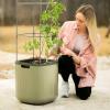 imageVego garden Tomato ampamp Herb ampamp Mini Planter Box Bundle