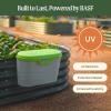 imageVego garden Tool Box Basil GreenDaffodil Yellow